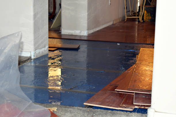 Professional Flood Damage Repair technician working in Rushville, IN